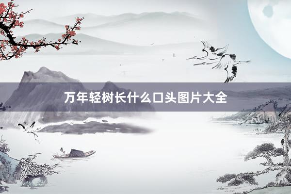 万年轻树长什么口头图片大全